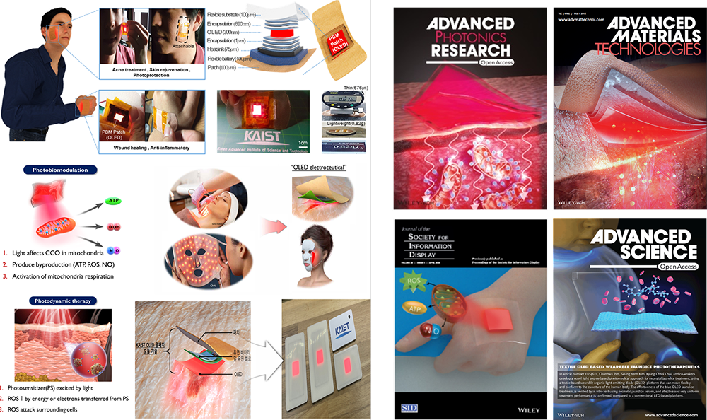 Photo-medicine<br>(Photobiomodulation, Photodynamic Therapy)