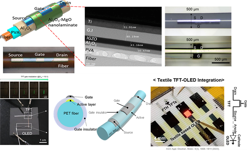 Nano-Bio Sensors